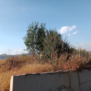Hekimhan Belediyesi Mezarlık