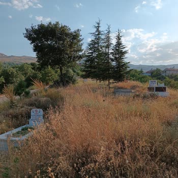 Hekimhan Belediyesi Mezarlık