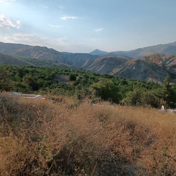 Hekimhan Belediyesi Mezarlık