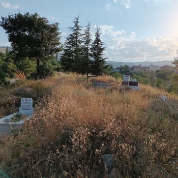 Hekimhan Belediyesi Mezarlık