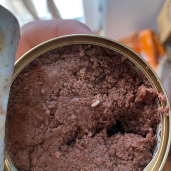 Nestle Purina PetCare Gourmet Gold Mamadan Kurt Çıktı