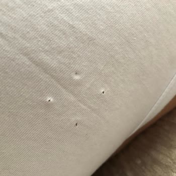 DeFacto Çocuk Atlet Yırtık Ürün