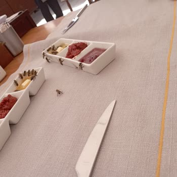 İbb Kasımpaşa Sosyal Tesis