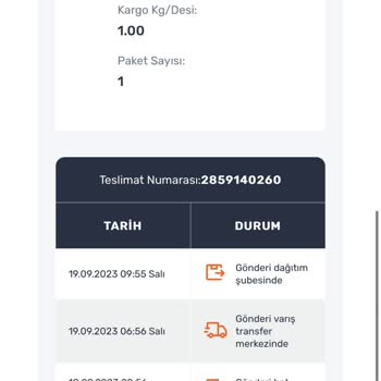 Sürat Kargo Kargo Teslim Edilmemesi