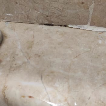 Golden Age Hotel Bodrum Yalıkavak Golden AGE Pişmanlıktır