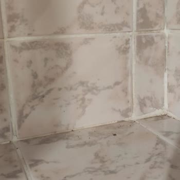 Golden Age Hotel Bodrum Yalıkavak Golden AGE Pişmanlıktır