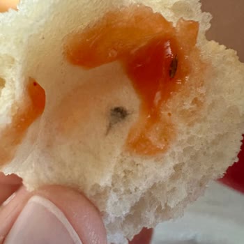 İstanbul Halk Ekmek İğne Halk Ekmek Siyah Cisim