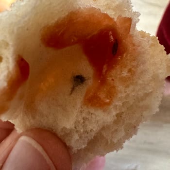 İstanbul Halk Ekmek İğne Halk Ekmek Siyah Cisim