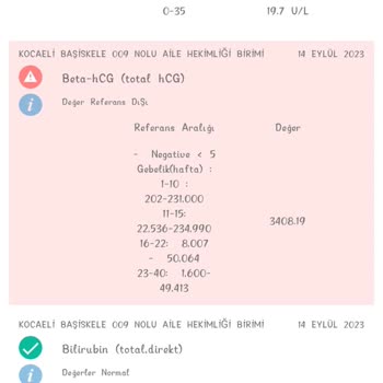 Ella İle Hamile Kaldım!