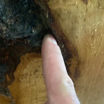 Wood Work Company Yalan Resimlerle Ürün Satıp İnsan Mağdur Etme
