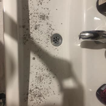 Dyson Süpürgeye Sahipseniz Yaşayabileceğiniz Muhtemel Sorunlar