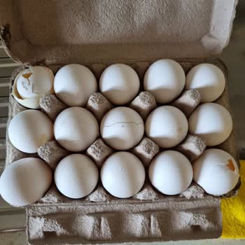 Vodafone Market (istegelsin) Muhatap Yok, Hasarlı Ürün