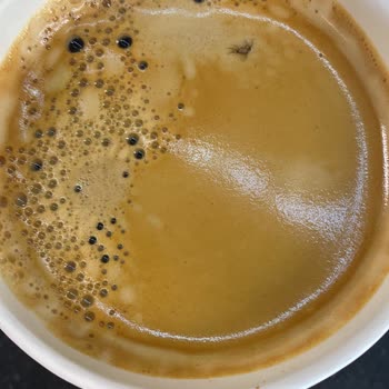 Starbucks Kahve İçinde Sinek