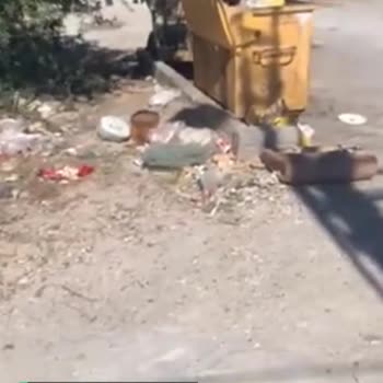 Söke Belediyesi Yola Gerekli İşlemleri Yapmaması