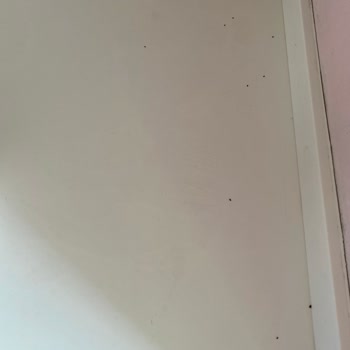 ilaclama.com.tr Uygulamadan Sonuç Alamadım, 2. Uygulamadan Ücret İstendi