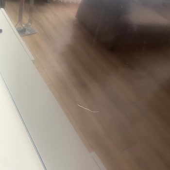 Gulf Sigorta & Samsung TV Çizik
