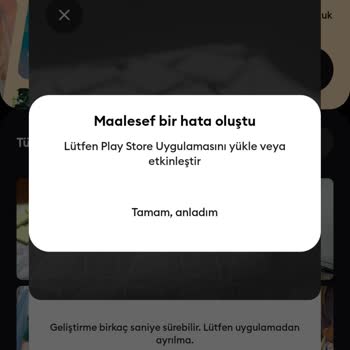 Huawei P40 Lite Remini Hatası