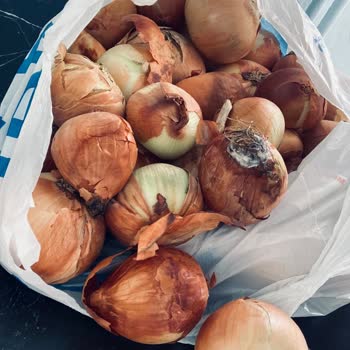 Migros Sanal Market Çürük Soğan Gönderdi
