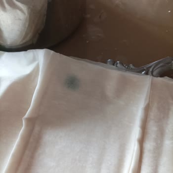 BİM'den Alınan Küflü Yufka (Ekmekcik)