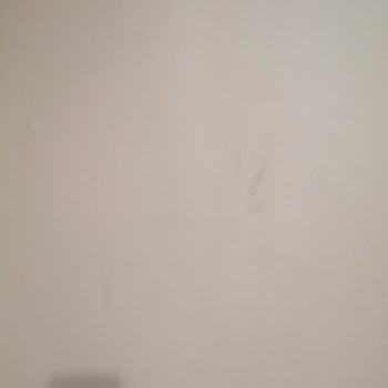 Tatilbudur. Com Şikayet