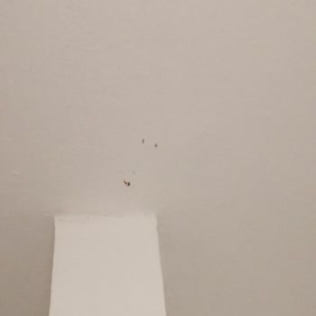 Tatilbudur. Com Şikayet