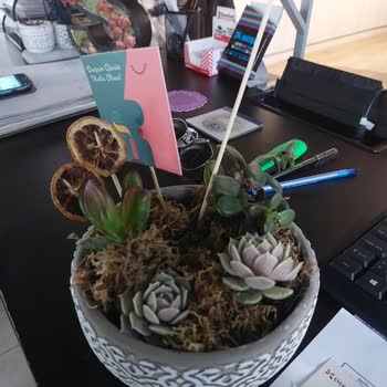 Çiçek Sepeti Kusurlu Ürün