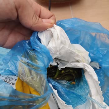 PTT Kargo Geciken Kargo İle Ürünün Çöp Olması