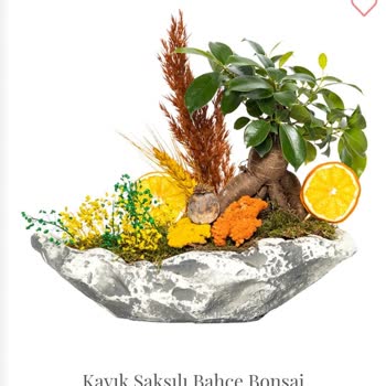 Salonbitkileri.com İstediğim Ürün Gönderilmedi