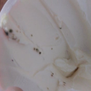 Bahçıvan Kem Peynir Küflenmesi Şikayet