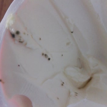 Bahçıvan Kem Peynir Küflenmesi Şikayet