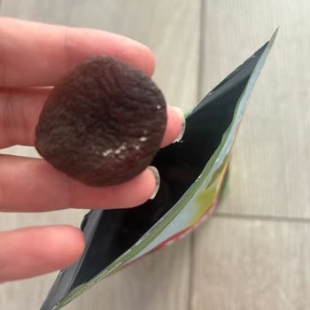 Tadım Kuru Kayısı Bozuk Çıktı