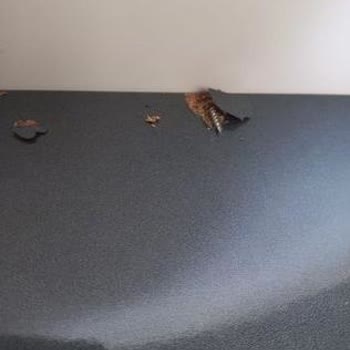 Kahramanmaraş Sitemo Üngüt Şubesinde Kurulum Mağduriyeti Ve Sorunları