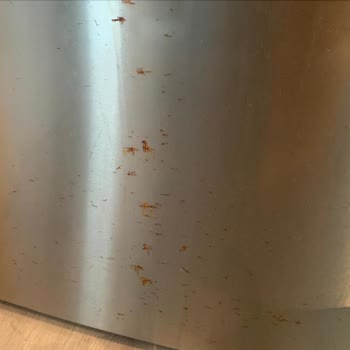 Paslanan Bosch Buzdolabı Kapakları