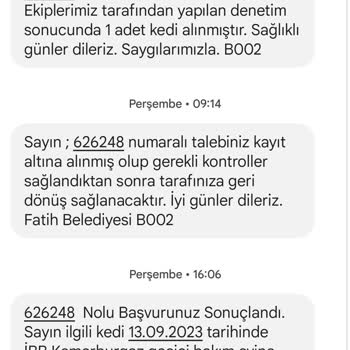 İBB - İstanbul Büyükşehir Belediyesi Fatih Belediyesi Tedavi Sonucu Kaybolan Kedi