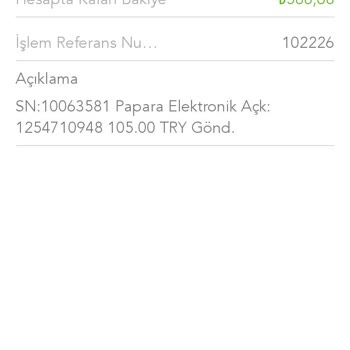 P*****a Elektronik Anonim Şirketi