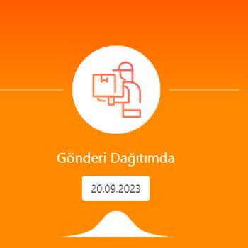 MNG Kargo Boğazköy Şubesi Dağıtımda Gözüken Kargoyu Türlü Getirmiyor