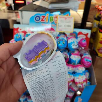 Ozibox Küflenmiş Çıktı Grosstan Market Tokat