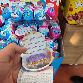 Ozibox Küflenmiş Çıktı Grosstan Market Tokat