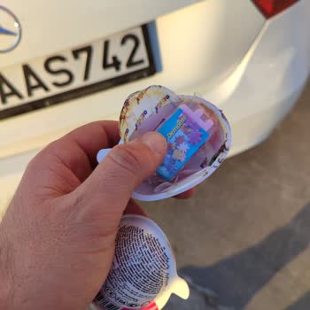 Ozibox Küflenmiş Çıktı Grosstan Market Tokat