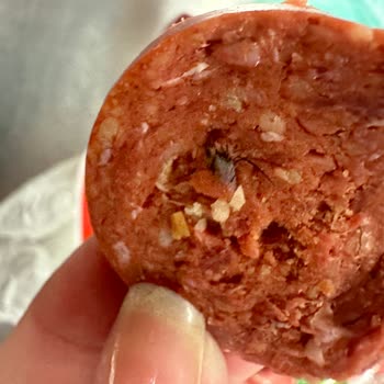 Polonez Sucuk İçinden Çıkan Kıl Yumağı