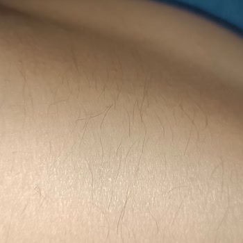 Lavinya Golden Van Yanıltma Üzerine Kurulu Bir Salon