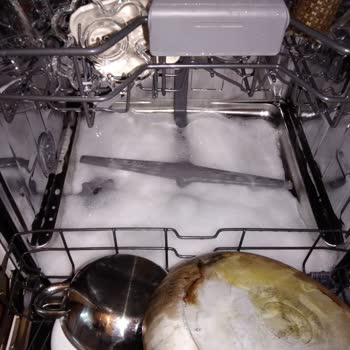 Vestel Bulaşık Makinesi Köpük Sorunu