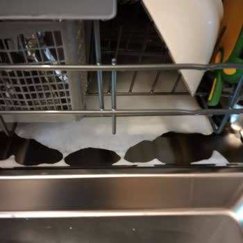 Vestel Bulaşık Makinesi Köpük Sorunu