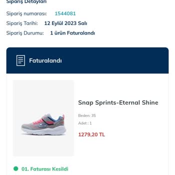 Skechers Online Ürünü Teslim Etmiyor
