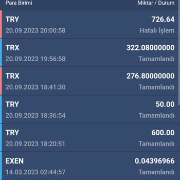 Bitexen Hatalı İşlem Sorunu