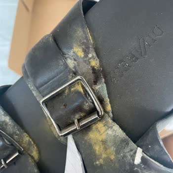 Divarese Küflenmiş Ve Erimiş Terlik Yolladılar