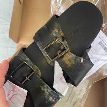 Divarese Küflenmiş Ve Erimiş Terlik Yolladılar