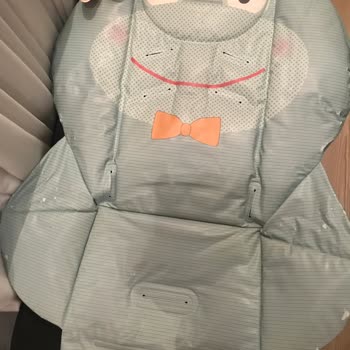 Chicco Yetkili Servis Yetersizliği