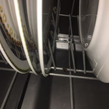 Franke FDW612E6P A++ Bulaşık Makinesi Alt Sepet Telleri Paslanıyor