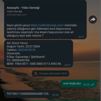 P*****a Hesabımda Yaşanan Sorun